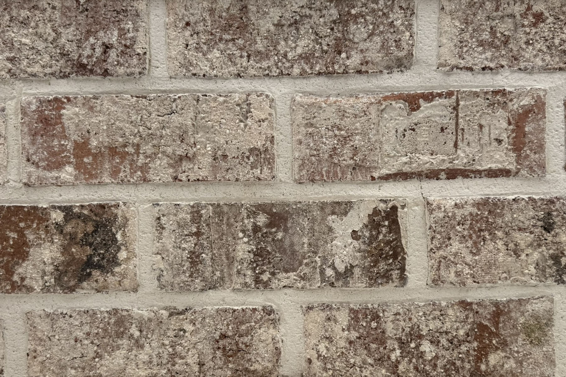 Graystone- Mississippi Classic Collection